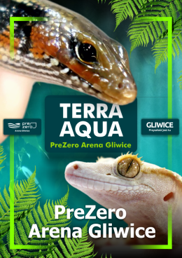 TERRA  AQUA GLIWICE / TARGI AKWARYSTYKI / PIĘKNO RĘKODZIEŁA  / WYSTAWA PAJĄKÓW