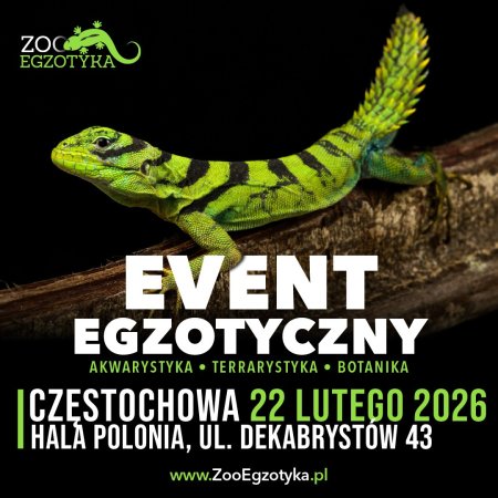 ZooEgzotyka - Częstochowa