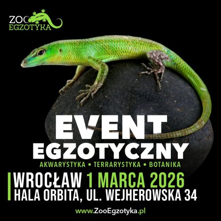 ZooEgzotyka Wrocław