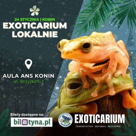 EXOTICARIUM LOKALNIE Targi Terrarystyczne Konin