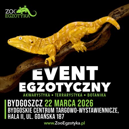 ZooEgzotyka - Bydgoszcz