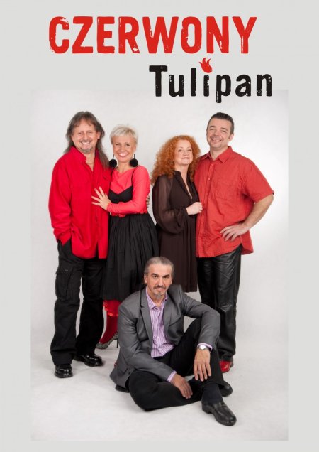 Czerwony Tulipan