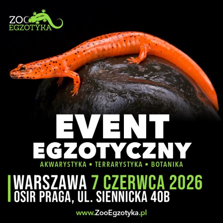 ZooEgzotyka Warszawa