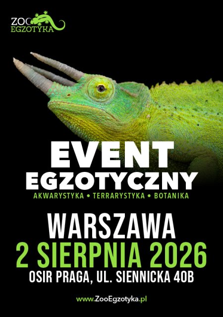 ZooEgzotyka Warszawa