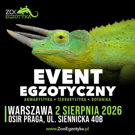 ZooEgzotyka Warszawa