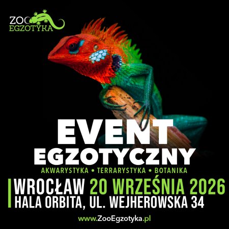 ZooEgzotyka Wrocław