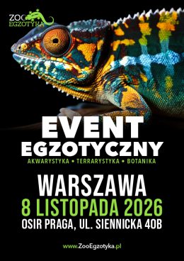 ZooEgzotyka Warszawa