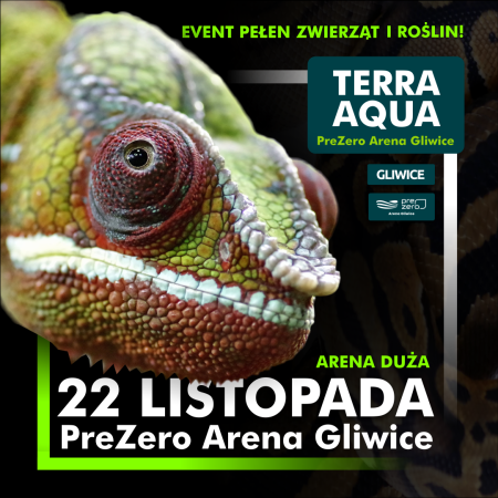 TERRA AQUA GLIWICE / TARGI AKWARYSTYKI / PIĘKNO RĘKODZIEŁA  / WYSTAWA PAJĄKÓW