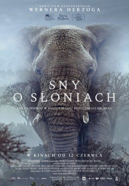 Sny o słoniach: KADR NON-FICTION